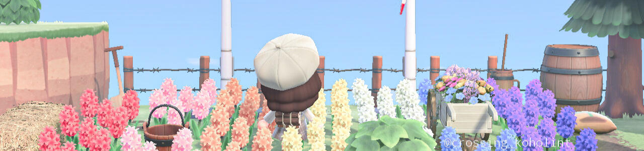 Bio