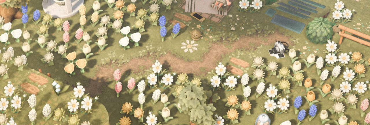 paths + planks